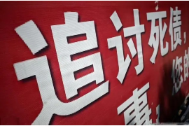 杜尔伯特清数公司怎么收费:全面解析收费模式及优势 杜尔伯特清数公司怎么收费:全面解析收费模式及优势